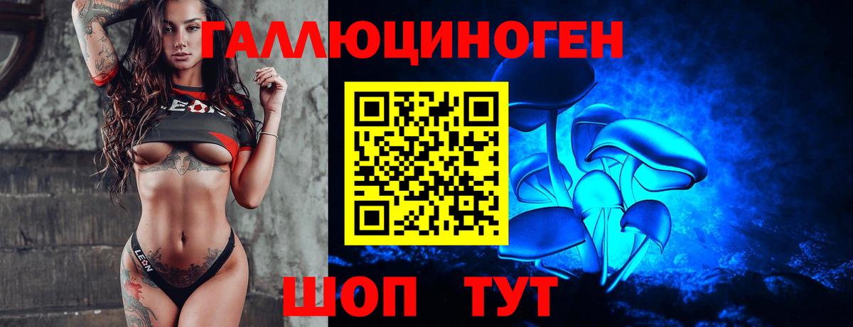 Псилоцибиновые грибы Psilocybine cubensis  дарнет шоп  Россия  Вход с VPN 